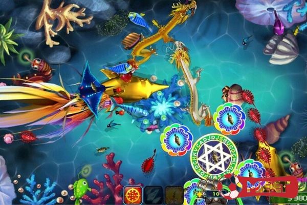 Đọc kỹ mọi hướng dẫn trước khi chơi và tìm kiếm một địa chỉ uy tín