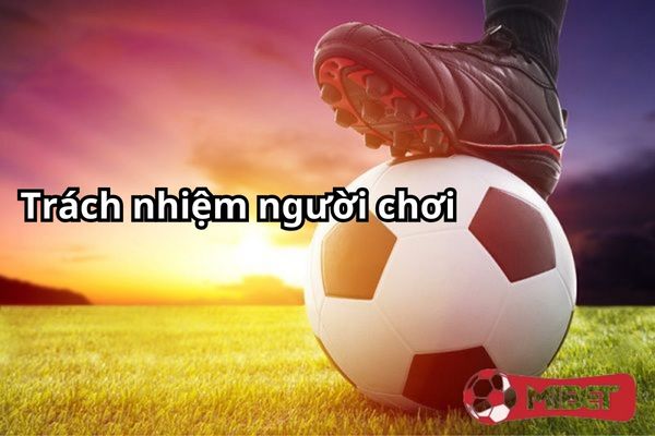 chinh sach bao mat trach nhiem nguoi choi Trách nhiệm của người chơi trong vấn đề bảo mật cũng quan trọng không kém