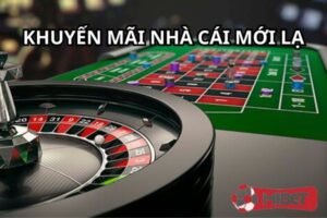 MIBET đưa ra nhiều điểm nhấn thú vị trong từng chương trình